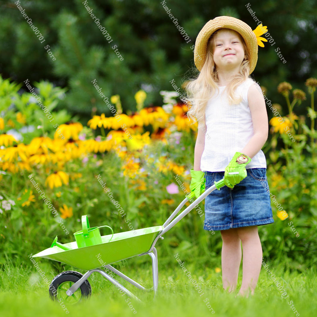 Carrinho de Mão Infantil para  - Kids Outdoor Activities avaliação e preço