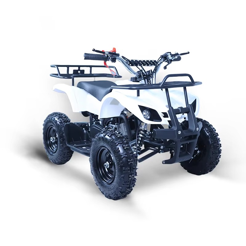 Mini ATV 49cc para Crianças, Q - Kids Outdoor Quad avaliação e preço